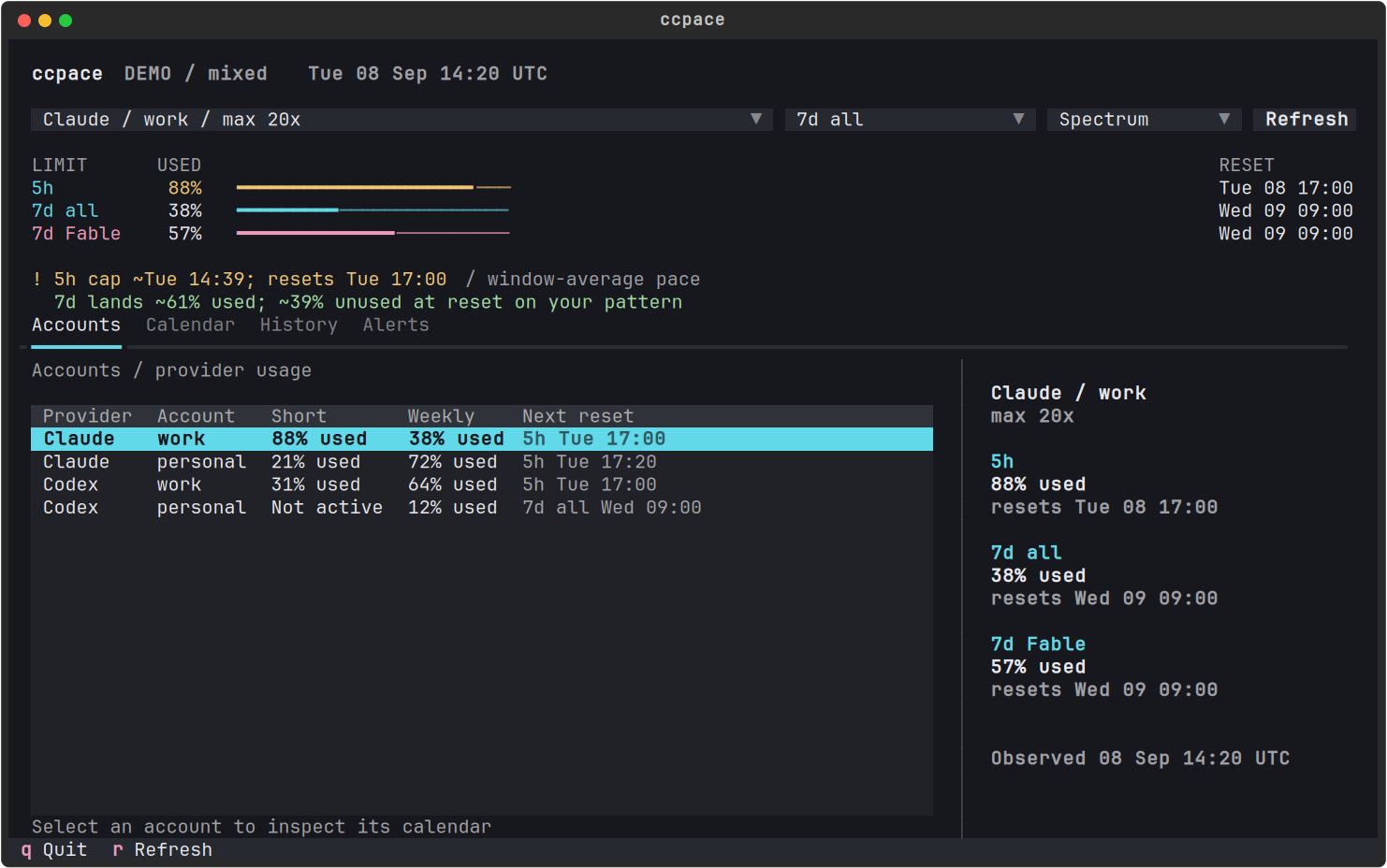 Synthetic Claude and Codex accounts with separate short-window and weekly usage.